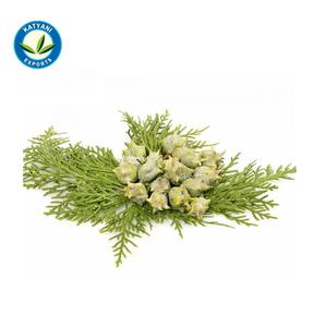 Ot-Ell Lant Xtract atatural ypress ssential Il herherapeutic ade Rade ypress Il uy ROM Ndian upplier - Product Image 6