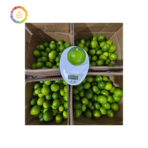 มะนาวไร้เมล็ดสด-อร่อยฉ่ำและราคาไม่แพงสำหรับการส่งออกและร้านค้าปลีกที่กำลังมองหาผลิตภัณฑ์ที่มีคุณภาพสูงสุด - Product Image 6