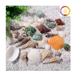 Vente en gros de coquillages naturels mixtes conque étoile de mer décor de plage bricolage artisanat décorations d'aquarium - Product Image 2