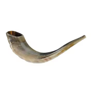 Standard Quality Polished Eco-Friendly Ram Drinking <b>Horn</b> Decorative <b>Horn</b> Pair for Worldwide Export India <b>Buffalo</b> <b>Horn</b> Saniya - Product Image 3