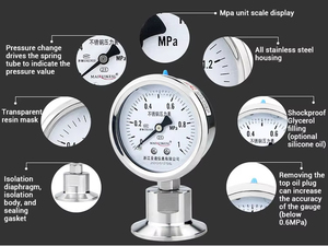High Precision Anti Corrosion Shock Resistant Industrial Pressure <strong>Gage</strong> for Duty Machinery Maintenance - Product Image 6