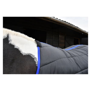 Rhyegold-alfombra Ligera y estable, edredón, 100g, con cuello estándar, caballo, Cob - Product Image 2