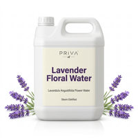 Eau Florale Biologique de Lavande PrivaOil en Gros - Hydrolat de Lavandula Angustifolia Certifié USDA Ecocert - Origine Agadir, Maroc - Pour Cosmétiques