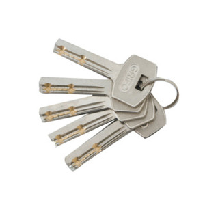 Chiave Tipo Dom Per Lucchetto Grifo Corazzato - Product Image 1