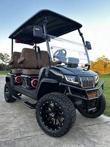 Tout nouveau moteur Evolution D5 4-Plus Golf Cart 4 - Product Image 5