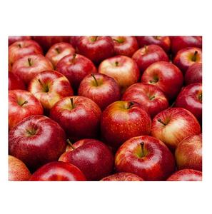 Frutas de temporada frescas de alta calidad sin OGM naturales al por mayor de Brasil manzanas rojas dulces frescas para alimentos - Product Image 4