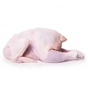 Best Quality Processed Frozen Whole Chicken (Griller)