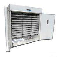 Incubateur de volailles multifonctionnel automatique à énergie solaire, incubateur universel pour œufs de poulet, canard, oie, émeu, autruche, neuf à 99%