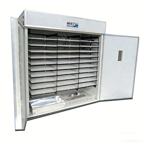 Incubateur multifonctionnel pour volailles, incubateur universel pour œufs de poulet, canard, oie, caille - Product Image 5