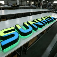 Lettres lumineuses personnalisées en usine, lettres à LED éclairées sur le devant et à l'arrière, enseignes électroniques, logo lumineux 3D pour les entreprises