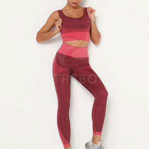 Active Wear Yoga Set para mujer Logotipo frontal sólido Ecológico Transpirable Ropa de entrenamiento de 2 piezas - Product Image 2
