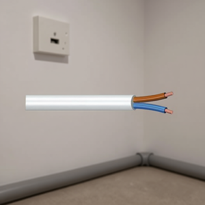 Cable de Alimentación Bipolar Blanco H03VV-F 2x0.75 mm² (15m) PP0359 2x0.75mm² 15m de Longitud - Product Image 3