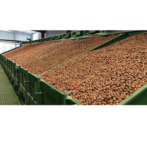 Noix Légères Noyaux Prix Noix Noyaux Biologique Sans Coque - Product Image 3