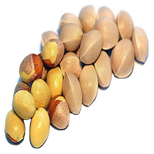 Nueces de ginkgo crudas al mejor precio de calidad natural disponibles a granel - Product Image 2