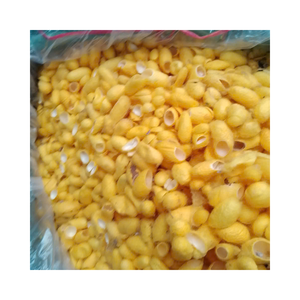 Natural Golden <b>Silkworm</b> Cocoon Lot | For Silk Waste Processing | Beauty & Medical Applications - Product Image 1