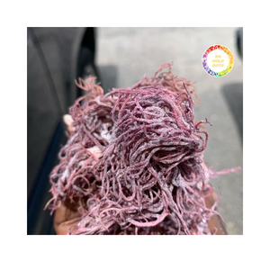 Organic Purple Seamoss Dried Laver From Vietnam Purple Irish Sea Moss Dried Purple Sea Moss Sale In Bulk Purple Irish Sea Moss - Product Image 1