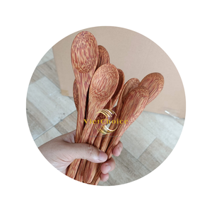 Venta al por mayor de cuchara de coco ecológica de alta calidad, cuchara de yogur de fruta, fabricación al por mayor de Viet Choice Made in Viet Nam - Product Image 1