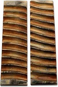 Escala de cuerno Ram de alta calidad personalizada Color Natural prensado impermeable estilo Animal cuchillo escalas placas con el mejor precio India - Product Image 5