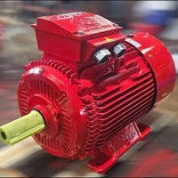 50Hz-60Hz boîtier en fonte noyau de cuivre moteur électrique triphasé moteur électrique à courant alternatif moteur asynchrone