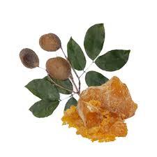 100% Pure Bulk Organic Copaiba Balsam <b>Essential</b> <b>Oil</b> 100% Fragrance <b>Oils</b> Pure and Natural Resin Wholesale Bulk - Product Image 3