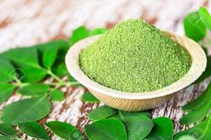 Polvo de Hoja de Moringa Premium, Polvo de Hoja de Moringa Pura Más Vendido, Fabricante de la India, Precio Mayorista, Extracto de Planta - Product Image 6
