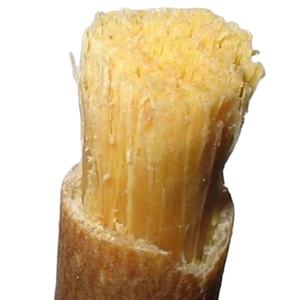 Miswak islamique en boîte spéciale, brosse à dents à base de plantes pour l'hygiène bucco-dentaire avec des propriétés blanchissantes - Product Image 1