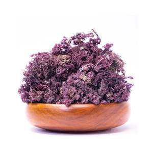 Mousse de carragée violette Mousse de mer salée séchée Récolte naturelle Séchée au soleil Violet Irlandais Cottonii Eucheuma Algues Wildcrafted - Product Image 1