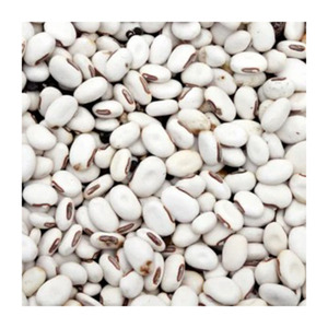 Frijoles de riñón blancos de alta calidad Precio Tamaño pequeño Orgánicos secos a granel Canadá Frijoles de riñón Blanco - Product Image 3