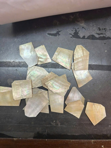 Haute qualité nacre Vietnam nacre coquille tranches pour bijoux incrustation artisanat décoratif mur Art et meubles - Product Image 5