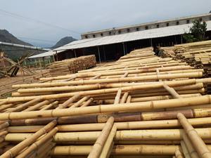 Nature Dry Straight <b>Rattan</b> Bamboo Pole Polished <b>Rattan</b> Manau Cane Poles Weave Cane Webbing Premium Quality - Product Image 5