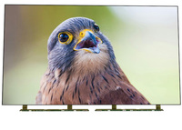   49 Zoll TV-Bildschirm-Ersatz FHD 1920 x 1080 Hochhelligkeits-LCD-Anzeigepanel Open Cell LC490DUY-SHA2