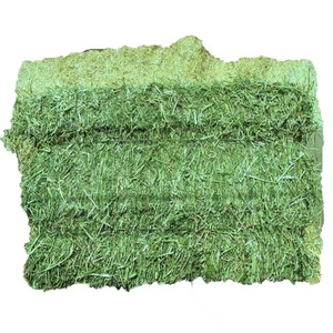 Heno de alfalfa verde natural de primera calidad para ganado caballo y perro-Grado de alimentación 25 kg/bolsa Embalaje a granel - Product Image 5