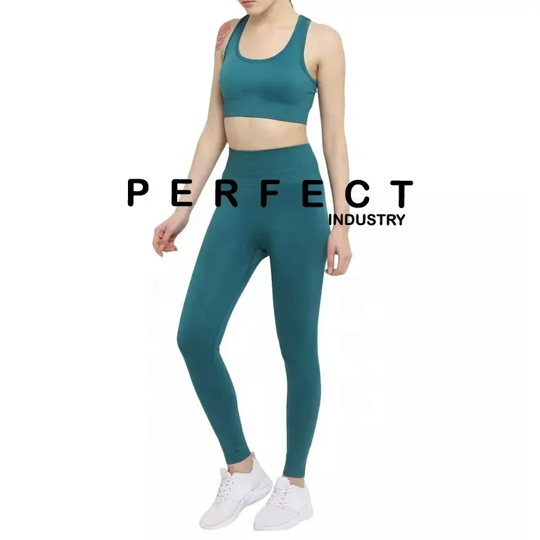 Высококачественный Женский комплект одежды для фитнеса и йоги/комплект леггинсов для тренажерного зала, бесшовный комплект для фитнеса для женщин с пользовательским логотипом