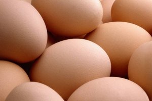 Œufs de poule bruns frais biologiques brésiliens de haute qualité, œufs de table, durée de conservation de 24 mois, prix compétitif, vente en gros, marque personnalisée - Product Image 6