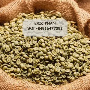 Вьетнамские оригинальные зеленые кофейные зерна ROBUSTA оптом с чистой/влажной полировкой-высококачественный экспортный стандарт ERIC + 84916477392