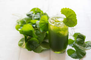 JUS DE PENNYWROT NATUREL CONGELÉ/QUALITÉ SUPÉRIEURE/PRÊT À CONSOMMER/EMBALLAGE EN VRAC DISPONIBLE - Product Image 2