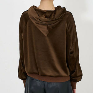 Derniers sweats à capuche pour femmes en velours personnalisés avec fermeture éclair sur le côté Prix bas Sweats à capuche tendance et à la mode pour femmes Logo personnalisé - Product Image 3