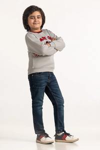 Sweatshirts pour enfants imprimés de la faune pour garçons Pulls en coton graphiques d'animaux pour les jeux en plein air - Product Image 5