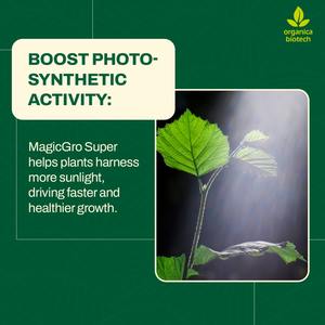 MagicGro Super Plant Protection Powder para Uvas - Product Image 3