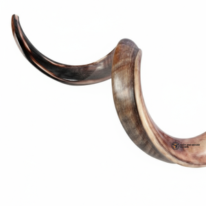 Cuerno de Shofar Natural de Carnero, Artesanía Hecha a Mano, Diseño Art Deco Ecológico, Acabado Pulido Suave Decorativo para Hogar y Oficina - Product Image 2