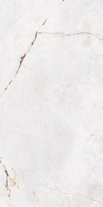 Evergreen Model Special Surface Asia Tiles Elevation Tiles 600X1200mm Manufacturing in India for Luxury Big Villa. - Product Image 3