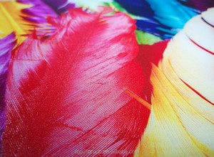 FocusInc Đầu In I3200 Máy In Uv Tấm Kính Mica 1325 Máy In Phẳng Uv Kỹ Thuật Số Để In Chai Cốc - Product Image 3