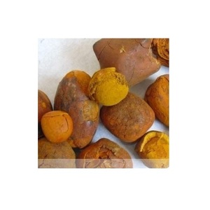 100% calculs biliaires naturels de boeuf/calculs biliaires de bétail/calculs biliaires de vache - Product Image 5