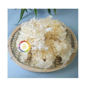 REAL WHITE DRIED ASIAN NUTRITIOUS <b>INSTANT</b> COOK SNOW FUNGUS for COOKING <b>SOUP</b> PREMIUM TREMELLA HOT SALE 2026 - Product Image 6