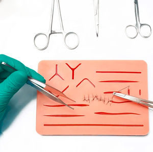 Modelo avanzado Manual Fuente de alimentación Kit completo de práctica de sutura Base para estudiantes de medicina Instrumentos quirúrgicos Entrenamiento de silicona - Product Image 6