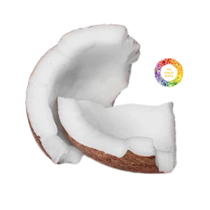 เครื่องผลิตเนื้อมะพร้าวแช่แข็งจากเวียดนาม - Product Image 3