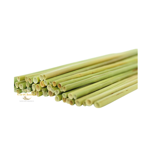 Pajita Ecológica de Paja Natural, Alternativa Biodegradable a la Plástica - Product Image 6