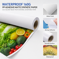 Papier synthétique auto-adhésif PP éco-solvant mat, imperméable, pour impression jet d'encre, rouleau pour affiches photo