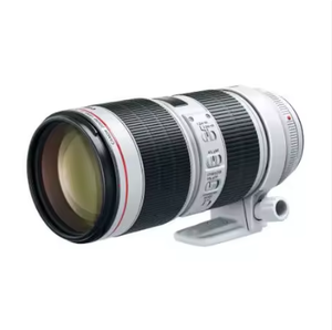 NUEVO EF 70-200mm F/2.8L IS III USM - Product Image 2