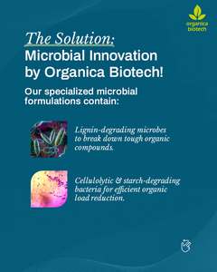 Traitement des eaux usées des pâtes et papiers - Product Image 4